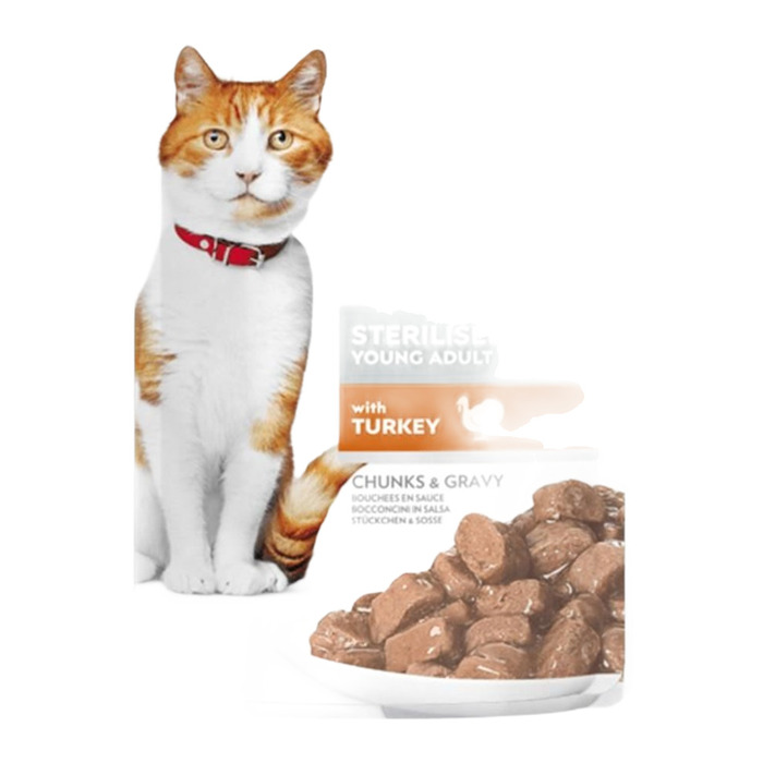 Gravy Young Adult Hindili Kısırlaştırılmış Kedi Konservesi 85 gr