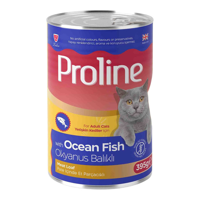 Pate İçinde Et Parçacıklı Okyanus Balıklı Kedi Konserve 400 Gr