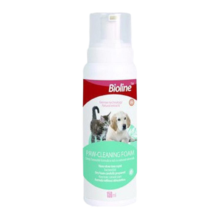 Pati Temizleme Köpüğü 150 Ml